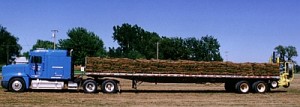 Sod on Truck